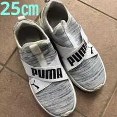 PUMA SOFTFOAM スニーカー　25㎝