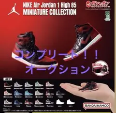 NIKE Air Jordan 1 High 85全種類セット