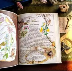 L809 洋書古書 1906年発行雰囲気たっぷりアンティーク植物図鑑 Amazon.co.jp: [1906年ドイツの古い植物図鑑(Flora von