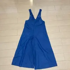 merlot オールインワンのサムネイル
