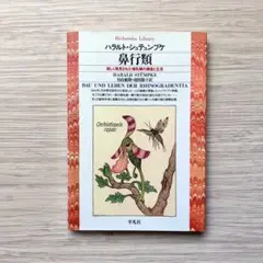 鼻行類 新しく発見された哺乳類の構造と生活｜ハラルト・シュテュンプケ