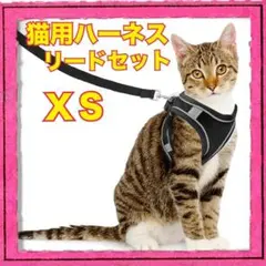 猫用ハーネス リード ブラック XSサイズ お散歩 おでかけのサムネイル