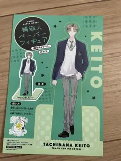 多聞くん今どっち⁉︎ 特典　ペーパーフィギュア 橘敬人