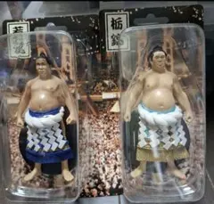 2026年最新】栃錦の人気アイテム - メルカリ