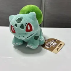 フシギダネ　fit フィット　ぬいぐるみ　ポケモン