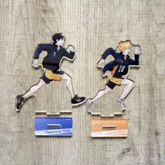 ハイキュー!! 横浜コスモワールド 日向翔陽 デカアクリルスタンド