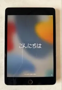 美品 ジャンクApple iPad mini 第5世代セルラーブラック 表示不良