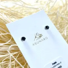 ASUNARO STONE PT900 ブラックダイヤモンド ピアス