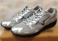 MIZUNO WAVE RIDER 10 ウェーブライダー10 30cm