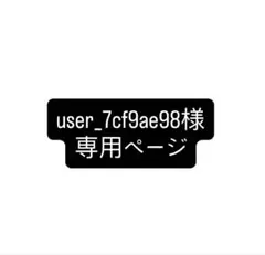 専用ページ