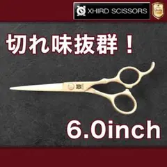 Item thumbnail for item 8f82e12f-de6c-46b5-ab1a-9fdc57cb2580