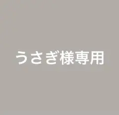 専用ページ