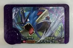 ポケットモンスター ポケモン フレンダ スーパートレジャー レア枠 ギャラドス