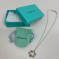 788518/Tiffany スターオブダビデ スターリングシルバー SV925のサムネイル