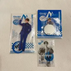 SnowMan Dome Tour ON 渡辺翔太 アクスタ ミラー ステッカー