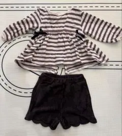 プティマイン　セットアップ