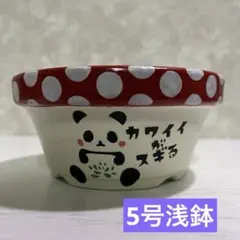 リメイク鉢★5号浅鉢・赤ドット★多肉植物 リメ缶 リメ鉢