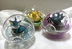 【ポケモンテラリウムコレクション】シャワーズ/ムウマ/メリープ&ピカチュウ