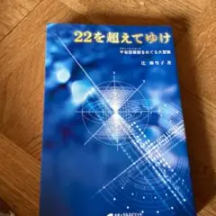 22を超えてゆけ