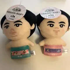 マスコットキャラクター ぬいぐるみ 2体セット