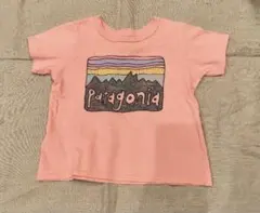パタゴニアロゴTシャツのサムネイル
