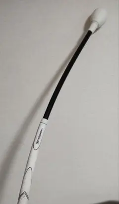 ゴルフ練習器具 スイング