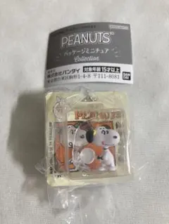 PEANUTS スヌーピー パッケージミニチュアコレクション 1980s ガチャ