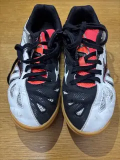 Item thumbnail for item 5573f915-c9fe-40b7-afc4-133ab8d6821c