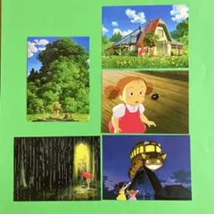 スタジオジブリ　となりのトトロ　大判ポストカード　 ５枚セット　Ｆ