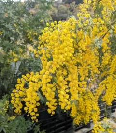 poncyan様 リクエスト 3点 まとめ商品