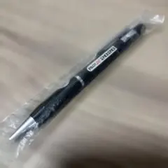 廃番品　パイロット　ロッキー2020フラッグのサムネイル
