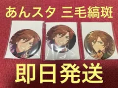 2026年最新】三毛縞斑 缶バッジの人気アイテム - メルカリ