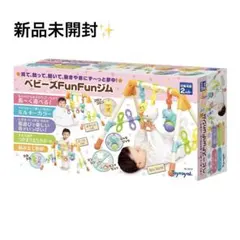 新品未開封✨ローヤル べビーズFunFunジム ベビージム プレイジム 知育のサムネイル