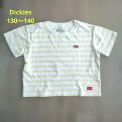 ストライプ Tシャツ Mサイズ Dickies　130〜140