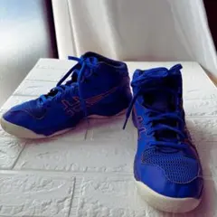 ASICS DUNKSHOT バスケットシューズ ブルー24.0cm(箱あり)