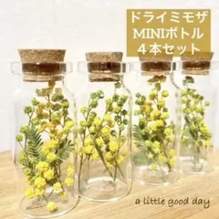 ミモザ♥︎ミニMINIボトル3本セット♥︎ドライフラワー インテリア雑貨　26-6