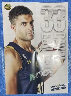 宇都宮ブレックス　ギャビンエドワーズ　Ａ２ポスター