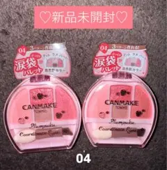 【新品】キャンメイク　プランぷくコーデアイズ　04×2