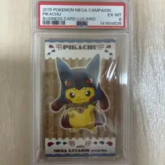 ポケモンセンター ポンチョを着たピカチュウ 名刺カード メガルカリオ ポンチョを着たピカチュウ 名刺カード メガルカリオ メガリザードンX