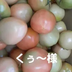 くぅ〜様専用