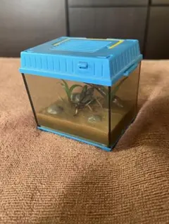 TOMY 虫かごギャラリー　日本アマガエル　キリギリス　スズムシ 虫かごギャラリー スズムシ 新品未開封品 - メルカリ TOMY 虫かご