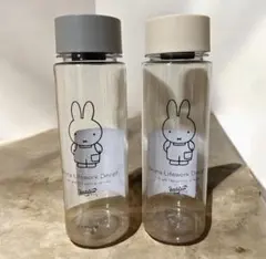 Item thumbnail for item d9b6c102-2100-4222-97f0-fee2bdb833bb