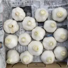 栽培時農薬不使用にんにく　ホワイト六片　令和8年６月１日収穫　約１ｋｇ　１６ケのサムネイル