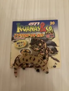 アンドコアメリカドクトカゲ