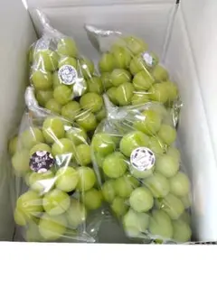 お盆セール品なくなり次第終了限定岡山県産シャインマスカット5房 化粧