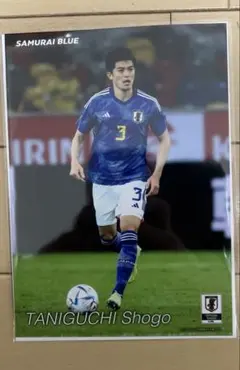 2026年最新】谷口彰悟の人気アイテム - メルカリ