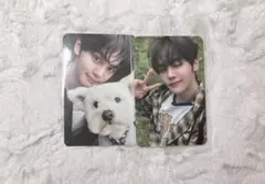 ZB1 ゼベワン ギュビン トレカ