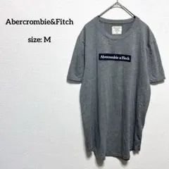 アバクロンビー&フィッチ アバクロ Tシャツ M ブロックロゴ 刺繍 グレー