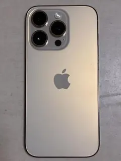 Apple iPhone 14 Pro 256GB ゴールド 本体　ケース付き