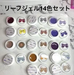 未使用有！リーフジェル　VETRO 14色セット！